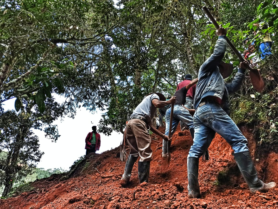Paisaje del río Amazonas al atardecer