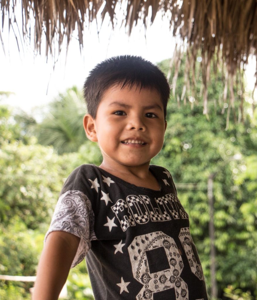 Imagen representativa de impacto sostenible