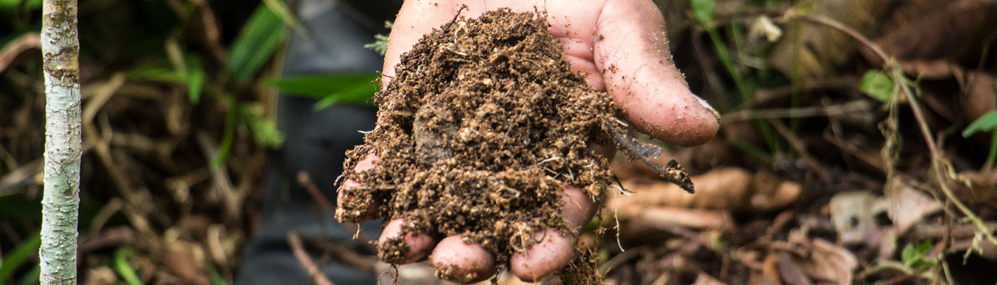 La ruta hacia la conservación: capacitando artesanos en la Amazonía peruana