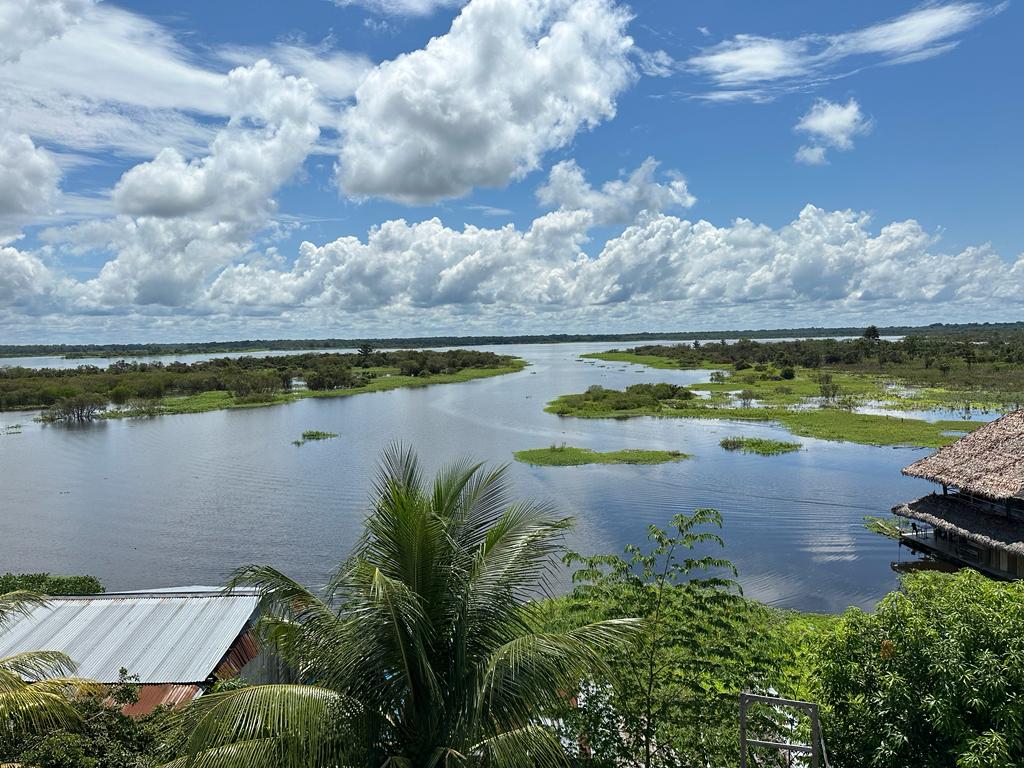 The Peruvian Amazon rainforest under a bright blue sky