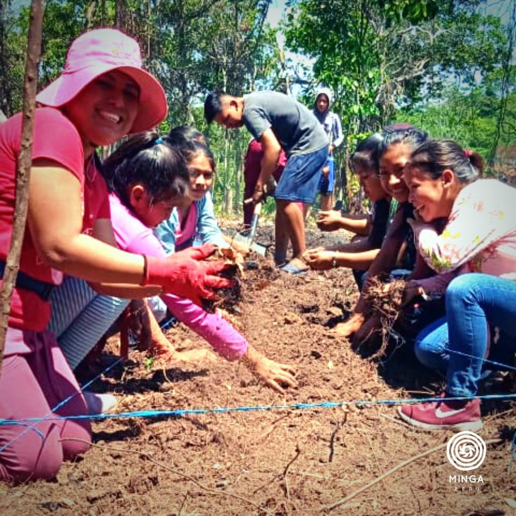 Youth in the Peruvian Amazon plant seeds to reforest the Amazon rainforest.